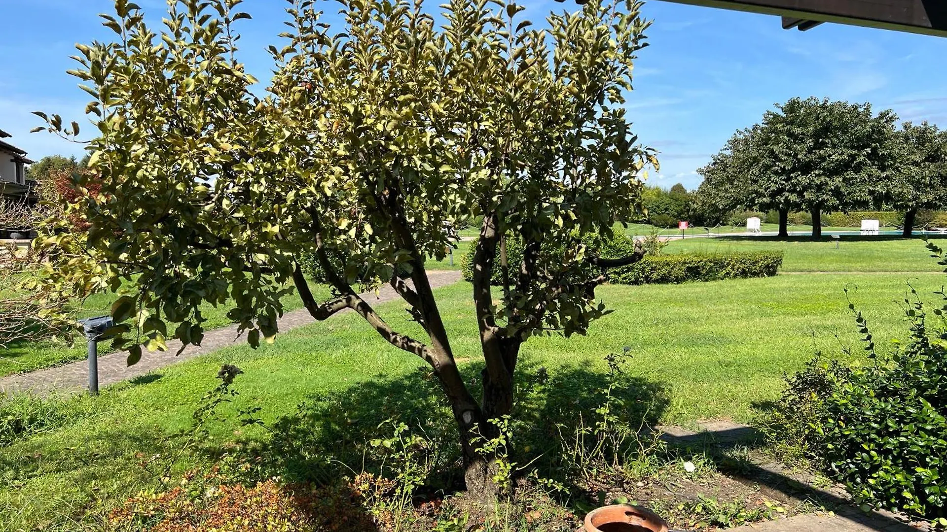 Terme Colli Golf - Suite La Montecchia Italy